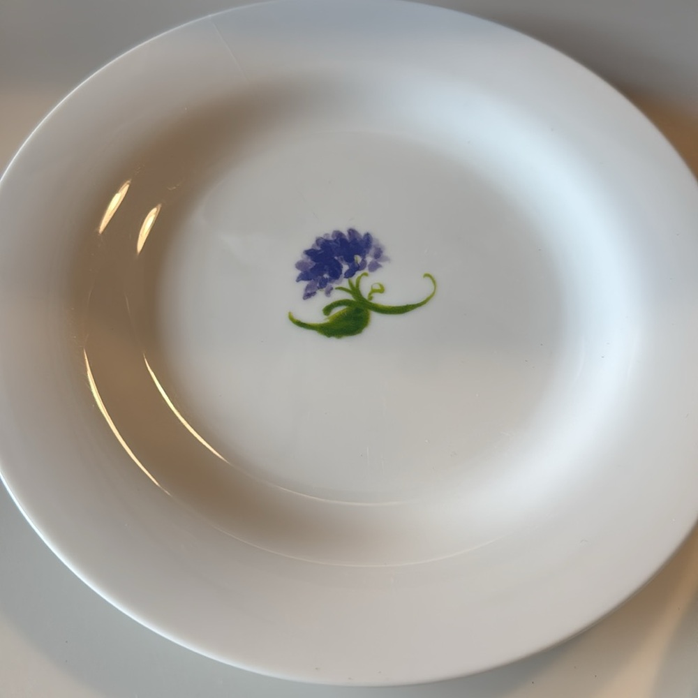 Pottery Barn BLOOM salad appetizer plates - set of 5 - Picture 2 of 5